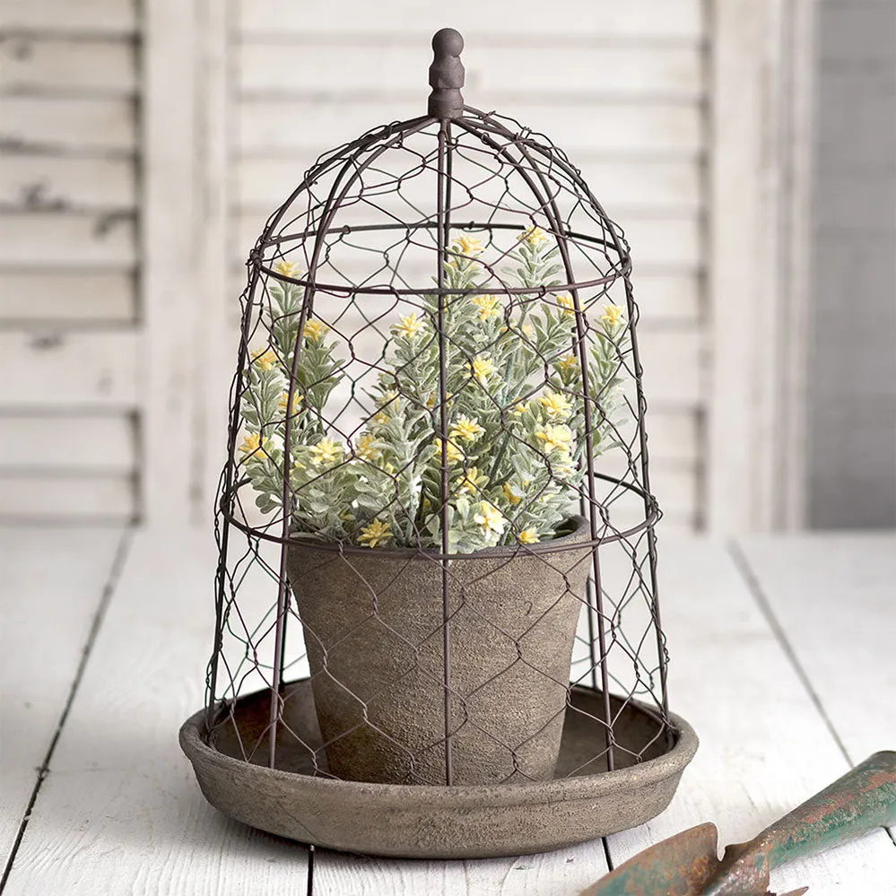 Chicken Wire Cloche with Terra Cotta Pot and Saucer