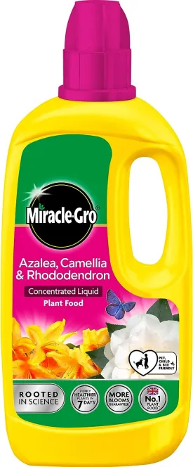 Miracle-Gro Azalea, Camellia & Rhododendron Concentrated Liquid Plant Food 800ml