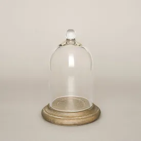 Small Glass Cloche